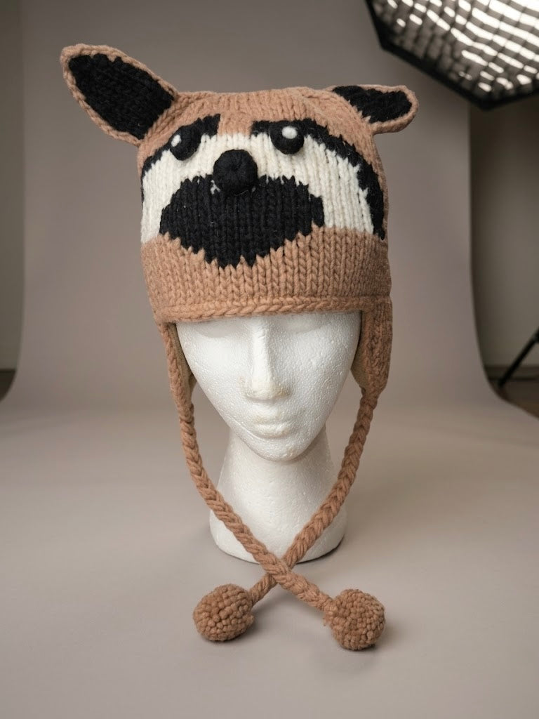 Cartoon and Animal Beanies - Gorras de dibujos animados y animales