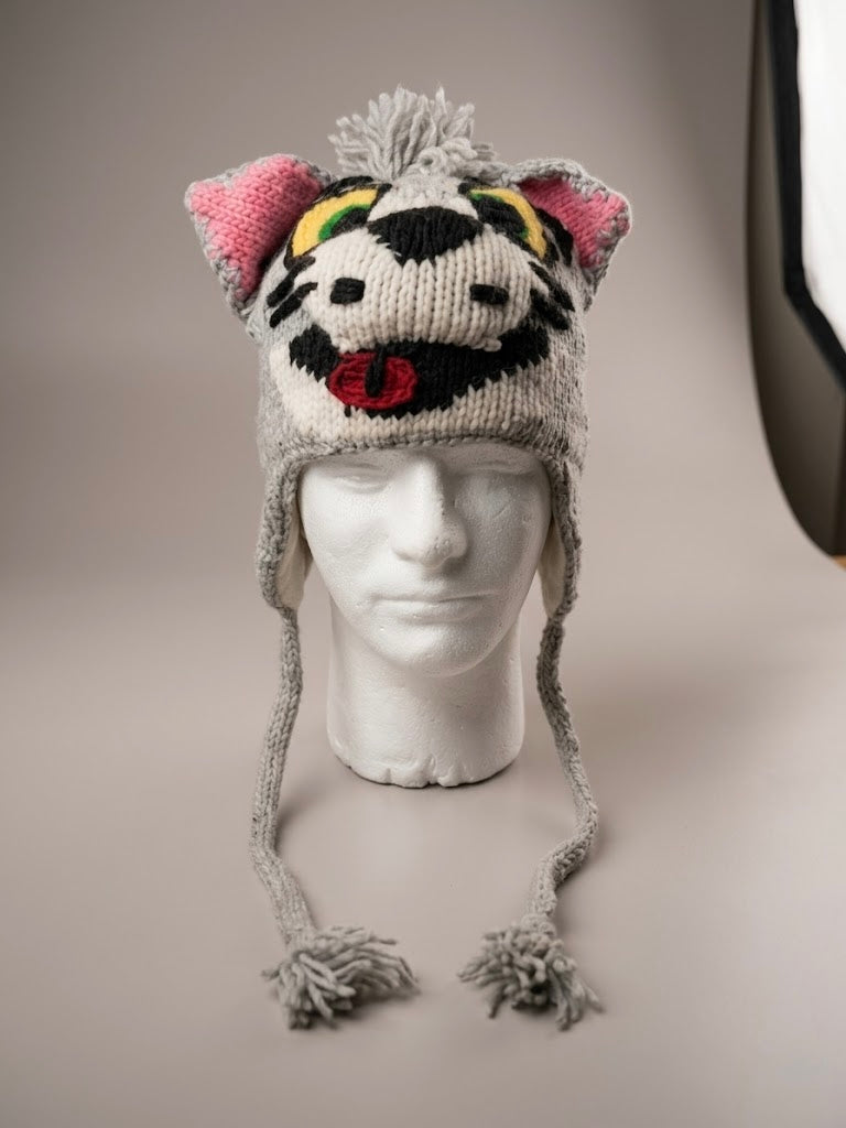 Cartoon and Animal Beanies - Gorras de dibujos animados y animales
